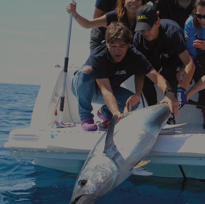 2018/07/26. Bermeo Tuna Tagging Race dator, Bizkaiko golkoan arrantza kirola egiteko atungorria elektronikoki markatzeko lehenengo ekitaldia