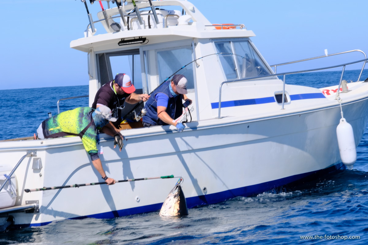 2019/07/02. II Bermeo Tuna Tagging Challenge, izen ematea zabalik!