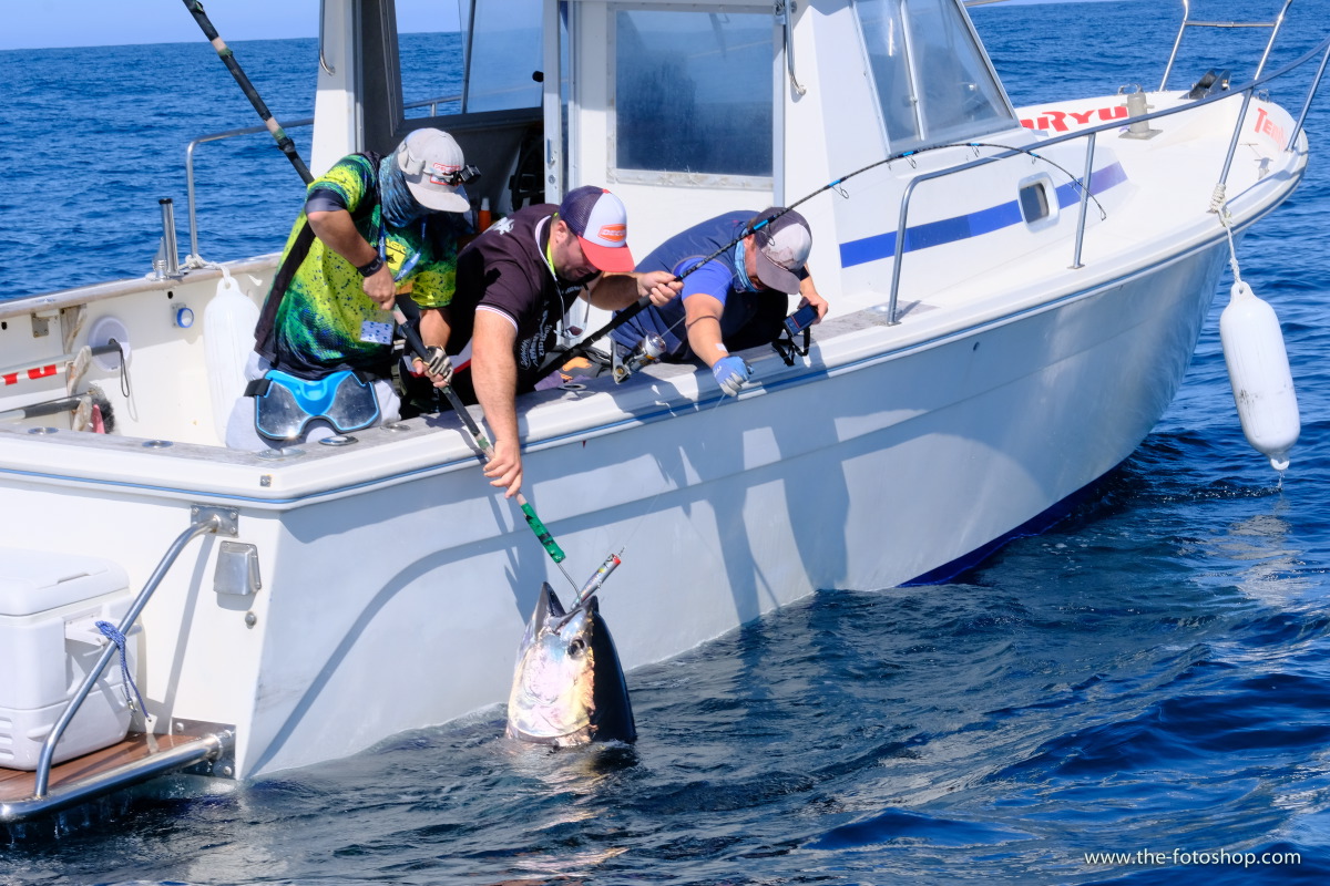 02/07/2019. Inscripciones abiertas para el II Bermeo Tuna Tagging Challenge