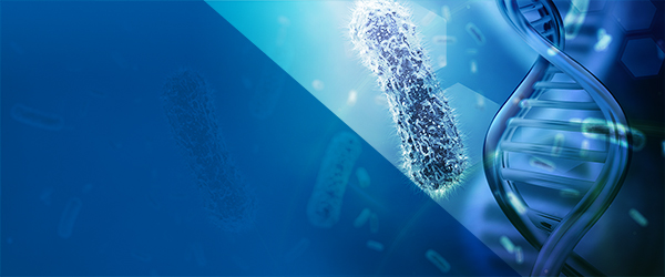 LAN ESKAINTZA. RESEARCHER in Environmental DNA based approaches for marine and aquatic monitoring and evaluation