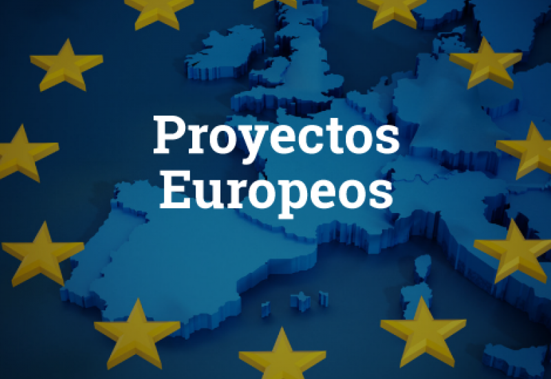 EMPLEO. Responsable de proyectos europeos para SINERXIA CONSULTORA