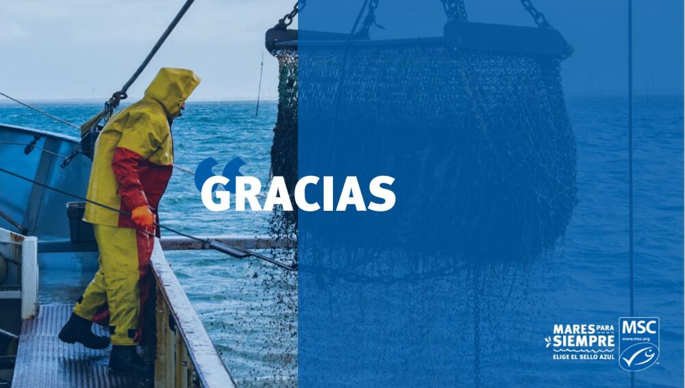 BTWC, MSC-ren “Mares para siempre” astera batu da berriz
